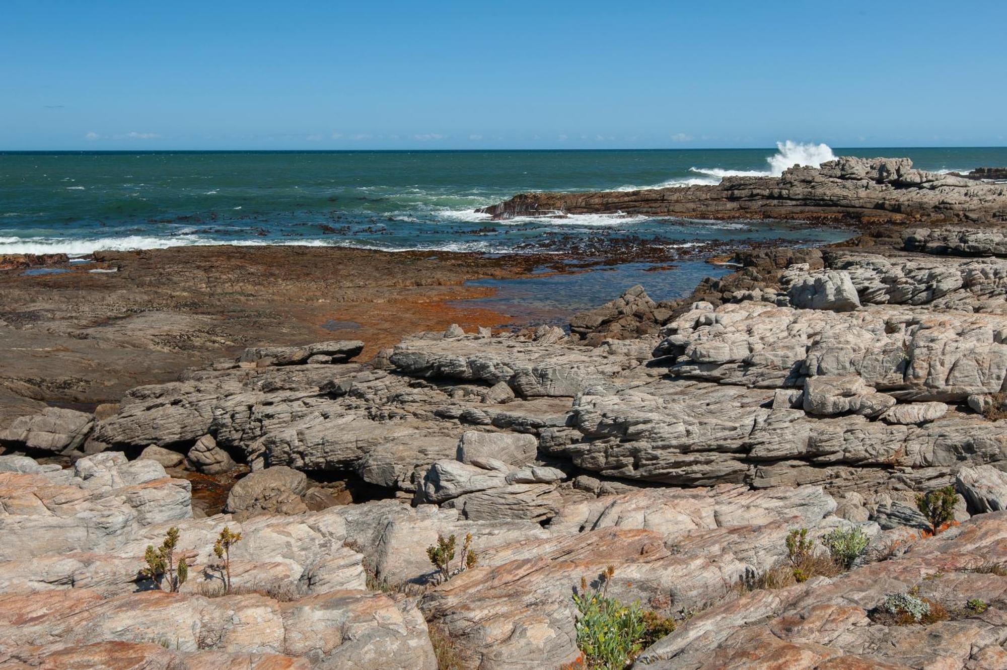 49 Whalerock Lägenhet Hermanus Exteriör bild